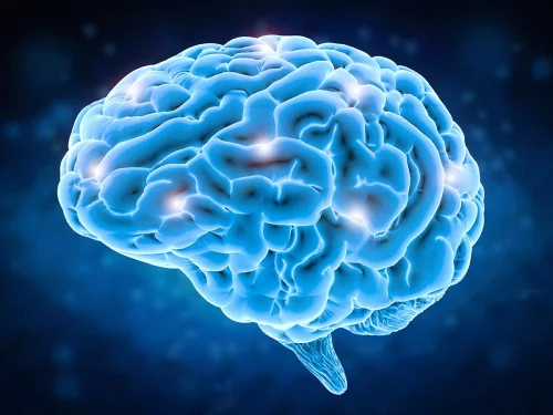 Brain Health от Green Health на топ цена е хранителна добавка за подобряване на паметта и концентрацията.