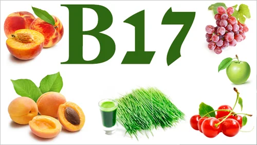 Витамин Б17 100 мг 30 таблетки на супер цена от Green Health се съдържа в почти всички плодови ядки и семена