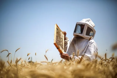 Богатият, уникален аромат на UMF® 10+ Manuka Honey го отличава от всички останали видове мед.