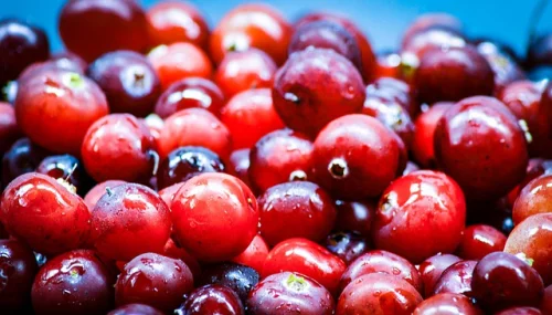 Cranberry Fruit Extract 800 мг 30 капсули на топ цена от Haya Labs помага в борбата с пикочните инфекции. 