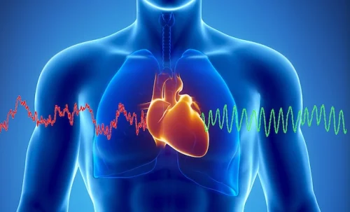 Heart - Cholesterol Support / Phytosterols на топ цена подобрява кръвообръщението и предотвратява риска от инфаркт и инсулт.