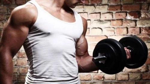 CLA, GREEN TEA, L-CARNITINE 90 capsules от HSLabs на отлична цена подпомага покачване на чиста мускулна маса