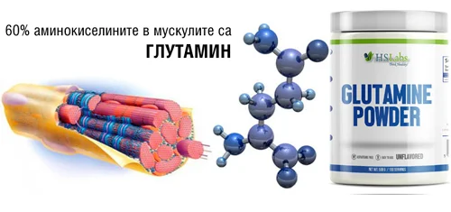 Glutamine Powder - Unflavored 300/500 gr на супер цена от HS Labs доставя най-често срещаната аминокиселина в мускулите