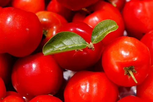 Natural Vitamin C from Acerola 60 таблетки на страхотна цена от Haya Labs съдържа естествен витамин С от ацерола, усвояващ се по-добре от тялото
