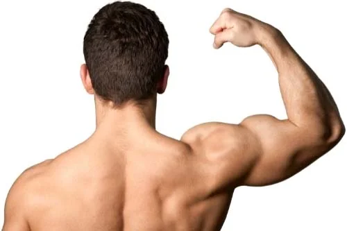 Creatine Monohydrate 800 мг 120 капсули на супер цена от Jarrow Formulas увеличава размера на мускулите
