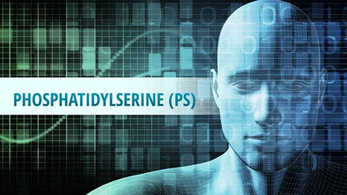 PS 100 Phosphatidylserine 100 mg 120 Capsules от Jarrow Fromulas на уникална цена е храна за мозъка и цялото човешко тяло