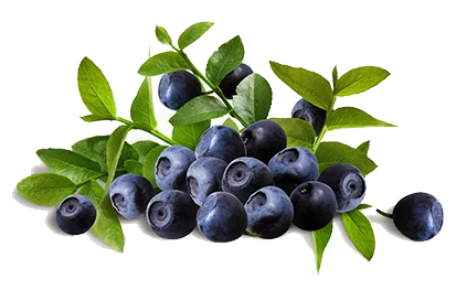 Pterostilbene от Jarrow Formulas предотвратява развитието на различни видове рак и забавя процесите на стареене.