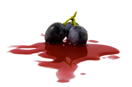 Resveratrol от Jarrow Formulas притежава редица благоприятни свойства, намалява разспространенито на остеопороза, съкращава броя на мастните клетки и регулира кръвното налягане. 