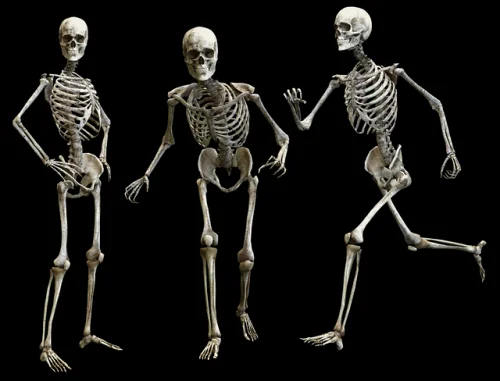 Ultra Bone-Up Добавка за Здрави Кости на топ цена се грижи за здравината на костите.