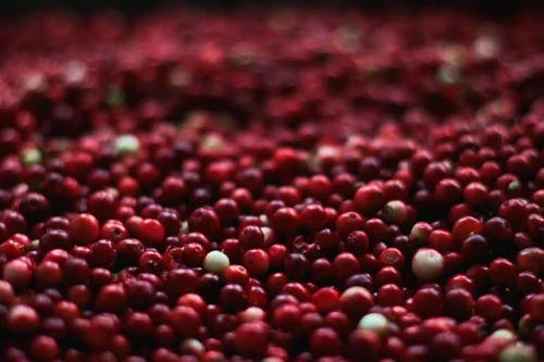 Absolute Cranberry & D-Mannose Powder 100 гр на ниска цена от Mattisson Healthstyle се грижи за здравето на пикочните пътища. 