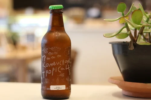 Organic Kombucha with Ginger & Matcha 500 мл на ниска цена от Mattisson Healthstyle съдържа пробиотици, които спомагат здравето на стомаха и храносмилането. 