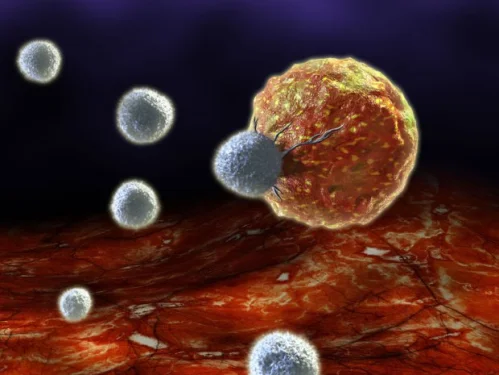 Complete Immune ot Myvitamins поддържа здравето на организма и се бори с рака
