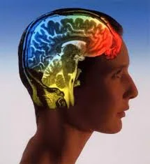 BrainSpeed Memory на таблетки подобрява концентрацията и паметта, използва се за по-добра умствена дейност