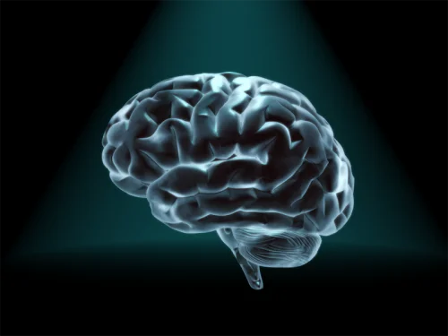 Memory Complex е много добра хранителна добавка, благодарение на която могат да бъдат възтановени важни функции на мозъчната дейност. 