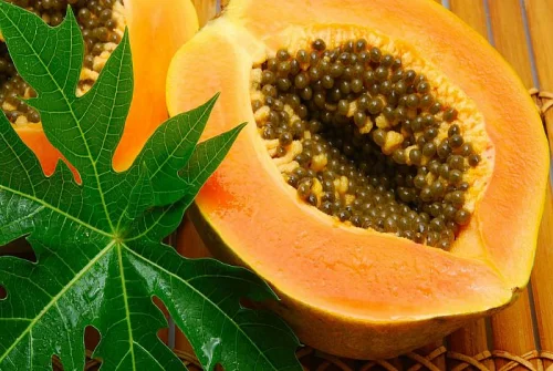 Papaya Enzyme от Natrol обезпечава окислително-възстановителните процеси, натрупването на енергия, усвояването на кислород.