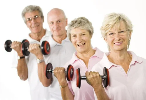 Healthy Bone Factors 624 мг от Natural Factors с топ цена доставя полезни вещества за здравето на костите