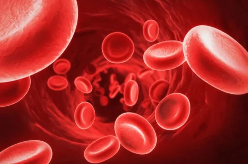 Желязо с Витамин В12 и Фолиева киселина 35 мг 90 таблетки от Natural Factors на изгодна цена увеличава хемоглобина