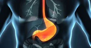 Pancreatin Plus Enzymes 363 mg може добре да повлияе в случаите на хронични инфекции, атеросклероза, астма и алергии.