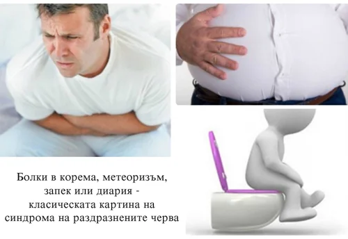Масло от Мента с Риган и Кимион 200 мг 60 капсули на изгодна цена от Natural Factors облекчава симптомите на синдрома на раздразнените черва