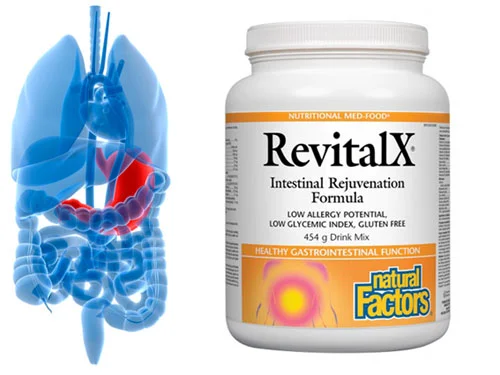 RevitalX® Чревновъзстановителна формула 454 гр от Natural Factors на топ цена е усъвършенствана хранителна поддръжка за стомашно-чревното подмладяване