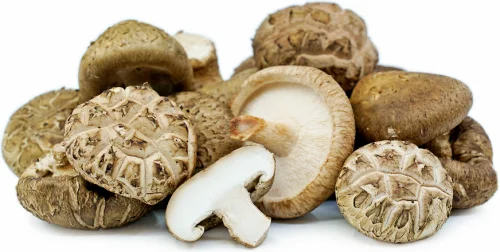 Super Mushroom за Имунитет 60 капсули на супер цена съдържа гъби майтаке, шиитаке, рейши, кордицепс, чага и лъвска грива