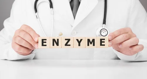 Zymactive Systemic Enzyme Formula 90 таблетки на топ цена от Natural Factors помага за правилното храносмилане и в борбата с подуването на корема.