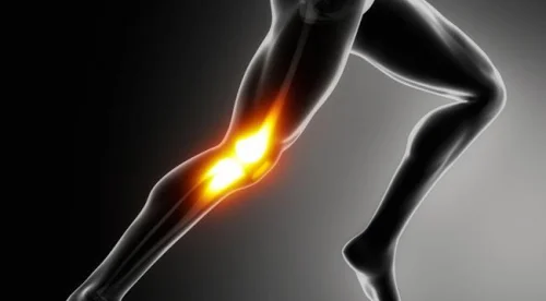 Bio Flex за здрави стави на изгодна цена увеличава подвижността на ставите и е подходящ за спортисти.
