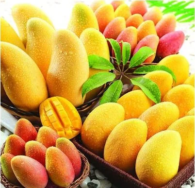 ТОП цена за African Mango. То е източник не са мо на антиоксиданти и важни витамини