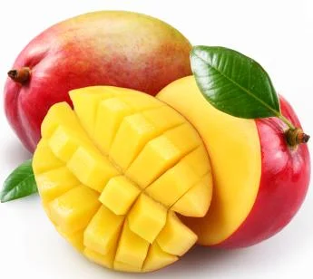 Alive Plant Protein Tropical Mango от Nature`s Way има превъзходен вкус на манго и предоставя оптимално количество протеини на организма