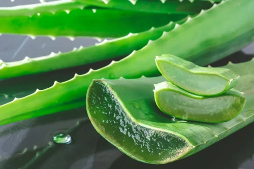 Aloe Vera 60% Inner Gel & Juice 1 л на топ цена от Nature's Way поддържа здрава имунна функция