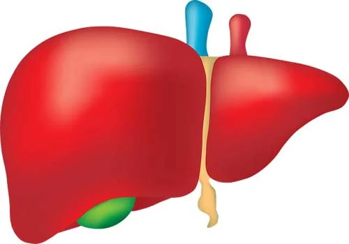 Complete Liver Cleans 84 капсули на супер цена от Nature's Way подкрепя здравето на черния дроб