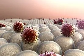 Echinacea Root Complex на прекрасна цена се бори с раковите клетки , бактериите и гъбичките
