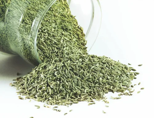 Fennel Seed на топ цена подобряват храносмилането и подсилват имунната система.