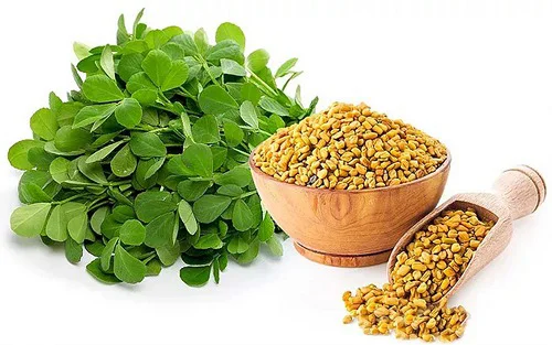Fenugreek Seed 610 mg 100 capsules на супер цена от Nature`s Way действа укрепващо на организма, регулира захарта и намалява холестерола