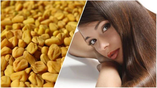 Fenugreek Seed 610 mg 100 capsules на уникална цена от Nature`s Way подпомага растежа на косата, облекчава симптомите на менопаузата