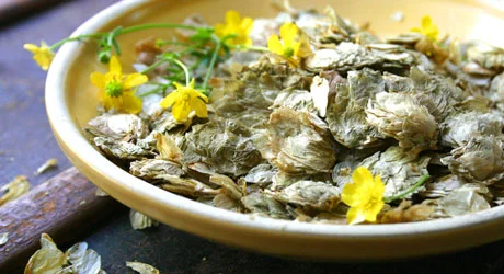 Hops Flowers на капсули имат болкоуспокояващ ефект, помага при стомашни разстройства
