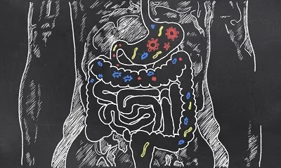 Primadophilus Optima Colon Support 90 млрд. от Nature`s Way подобрява състава на чревната микрофлора и заздравява имунитета