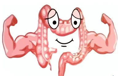 Primadophilus Optima Colon Support 90 млрд. на супер цена от Nature`s Way подпомага здравето на дебелото черво и защитава стомашната лигавица