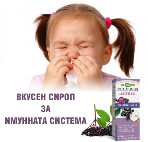 Sambucus Kids Original Сироп с Ехинацея на супер изгодна цена от Nature's Way по естествен начин подсилва имунната система