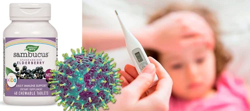Sambucus Kids 40 дъвчащи таблетки от Nature`s Way на супер цена повишава нивото на имунната защита на детския организъм срещу вируси, бактерии, алергени.