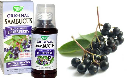 Sambucus Original syrup 120/240 ml от Nature`s Way на топ цена съдържа висок клас екстракт, стандартизиран за антоцианини и тестван за бионаличност и активност в организма