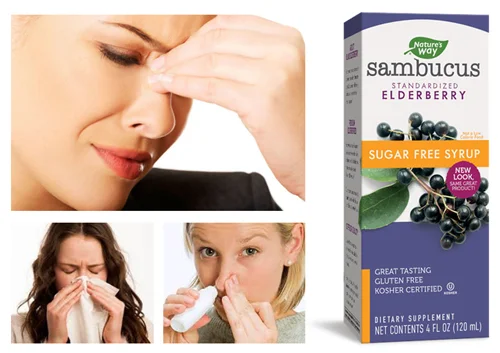 Sambucus sugar-free syrup 120 ml от Nature`s Way на топ цена предпазва от грип и настинки и е чудесен за синусите