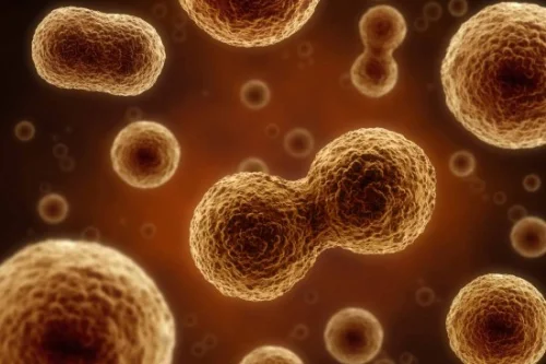 Colloidal Minerals от Now Foods подпомага клетъчното делене и повишава имунитета