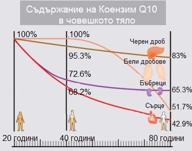 Коензим 50 мг с Витамин Е 50 дражета на топ цена от Now Food предпазва от сърдечни болести.
