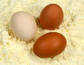 Като отличен естествен източник на висококачествен протеин Eggwhite Protein е отлично допълнение към всяка протеинова програма.