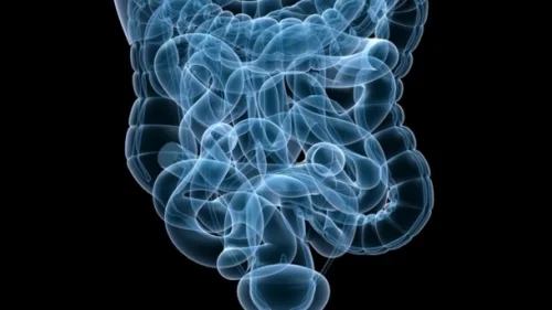 Glutamine Powder на хит цена подпомага храносмилателните процеси и помага при диабет.