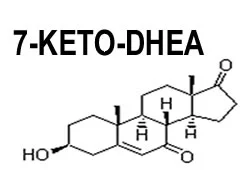 7-кето-DHEA е естествен метаболит от дехидроепиандростерон (DHEA)