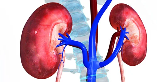 Kidney Cleanse от Now Foods пречиства бъбреците и подобрява функциите на надбъбречните жлези.