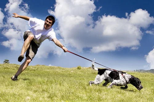 PET Immune Support от Now Foods дава сили и забавя стареенето на животните