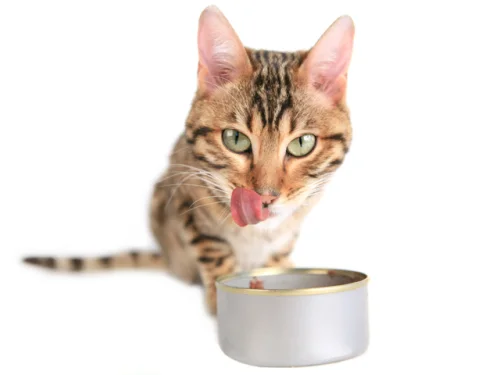 PET Urinary Support на супер цена подпомага храносмилането и се бори с инфекциите на пикочните пътища